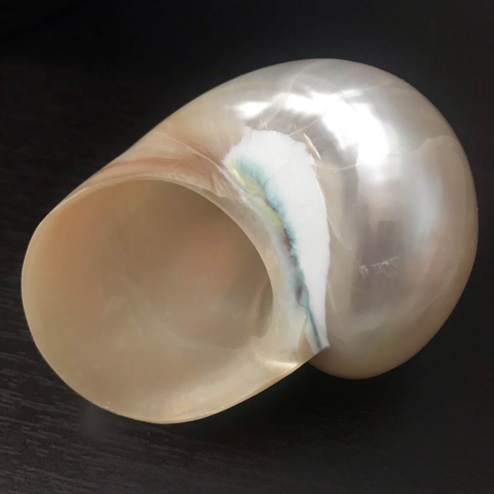 Jade Turbo Seashell - Picture 6 of 10